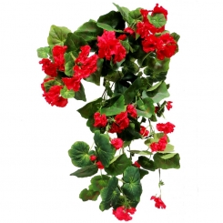 006 Veštačka muškatla